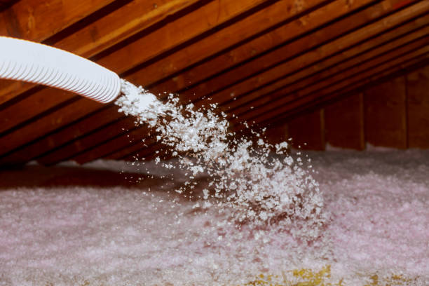 Best Cellulose Insulation  in Lockport, NY