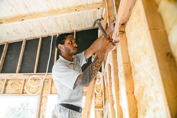 Best Wall Insulation Contractor  in Lockport, NY
