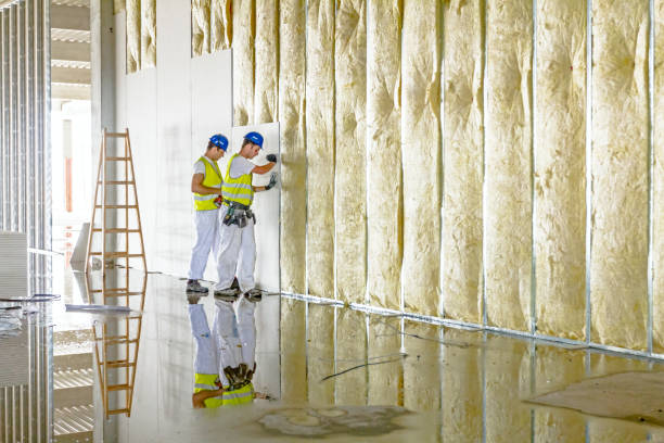 Insulation Repair Services in Lockport, NY